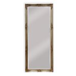 French Provincial Ornate Mirror - Champagne - Medium 70cm x 170cm