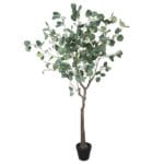 Artificial Eucalyptus Tree (Red Box Eucalyptus Polyanthemos) 150cm