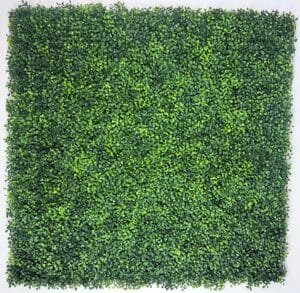 Mixed Boxwood Hedge Panels / Screens UV Resistant 1m x 1m