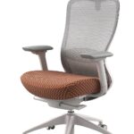 UFOU VX Ergonomic Office Chair Mesh Work Computer Gaming Designer - Lion