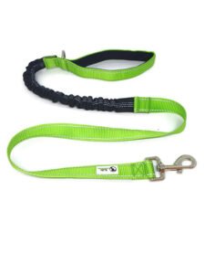 Bungee Dog Lead Nylon w/Reflective Stitching – Moondidley Pets Green
