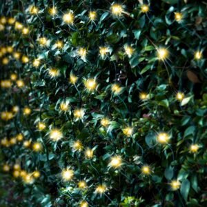Battery Operated 180 LED Net Lights ‚Äì available in 3 Colors – Cool White