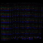 Samland 750 LED 620cmx240cm Copper Wire Curtain Light in Multi Colour