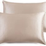 Luxury Pillowcase 2 Pack - 100% Pure Mulberry Silk on Both Sides - Champagne