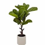 Artificial Real Touch Fiddleleaf Tree 75cm