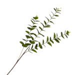 bulk 24 Artificial Eucalyptus Stem 3 Branches 2 Assort 80cm