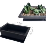 bulk 24 Bonsai Succulent Planter w Tray 16cm