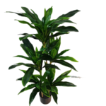 Artificial Pot Plant - 120CM