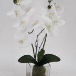 Artificial Orchid in Glass Pot 10x45cm