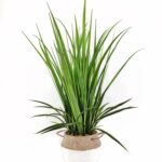 Artificial Grass in Cement Pot 76cm