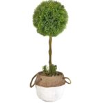 Artificial Single Ball Topiary in Cement Pot 43cm