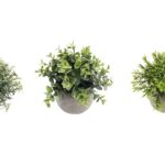 Set 3 Artificial Plant in Cement Pot Assort 18cm