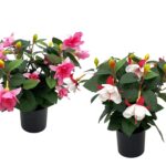 Set 2 Artificial Bellflower in Pot 35cm