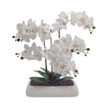 White Orchid In Rectangle Ceramic Pot 56x61cm