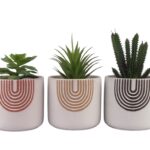 Set 3 Rainbow Ceramic Pot Planter 13cm