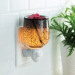 Obsidian 2022 Pluggable Warmer