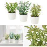 3 Pack of Artificial Herb Potted Plants in White Plastic 5cm Pot Interior Decoration