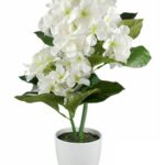 Artificial White Hydranger in White Plastic Pot 10x46cm