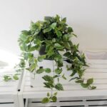 Artificial Ivy in Black Plastic Pot 76cm