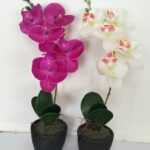 Set 2 Artificial Single Stem Orchid in Plastic Pot 32cm
