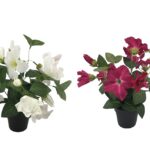 Set 2 Artificial Flower in Pot Assort 30cm