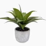 Artificial Aloe Vera in Cement Pot 36cm