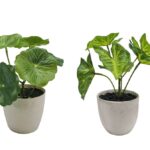 Set 2 Artificial Taro & Lotus Plant In Plastic Pot 7x15cm