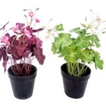 Set 2 Artificial Oxalis Triangularis Plant In Plastic Pot 10x35cm
