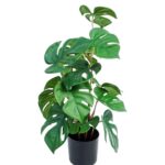 Artificial Monstera In Plastic Pot 10x26cm