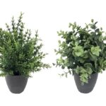 Set 2 Artificial Grass in Pot Assort 25cm