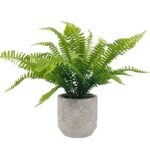 Artificial Fern in Ceramic Pot 43cm