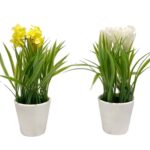 Set 2 Artificial Flower in Pot 23cm