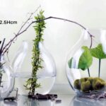 Glass Wide Bubble Vase 22cm