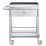 VEVOR Medical Cart, 2 Layer stainless Steel Cart100 kg Weight Capacity Utility Cart Silent Wheels and a Drawer for Lab, Clinic, kitchen, Salon