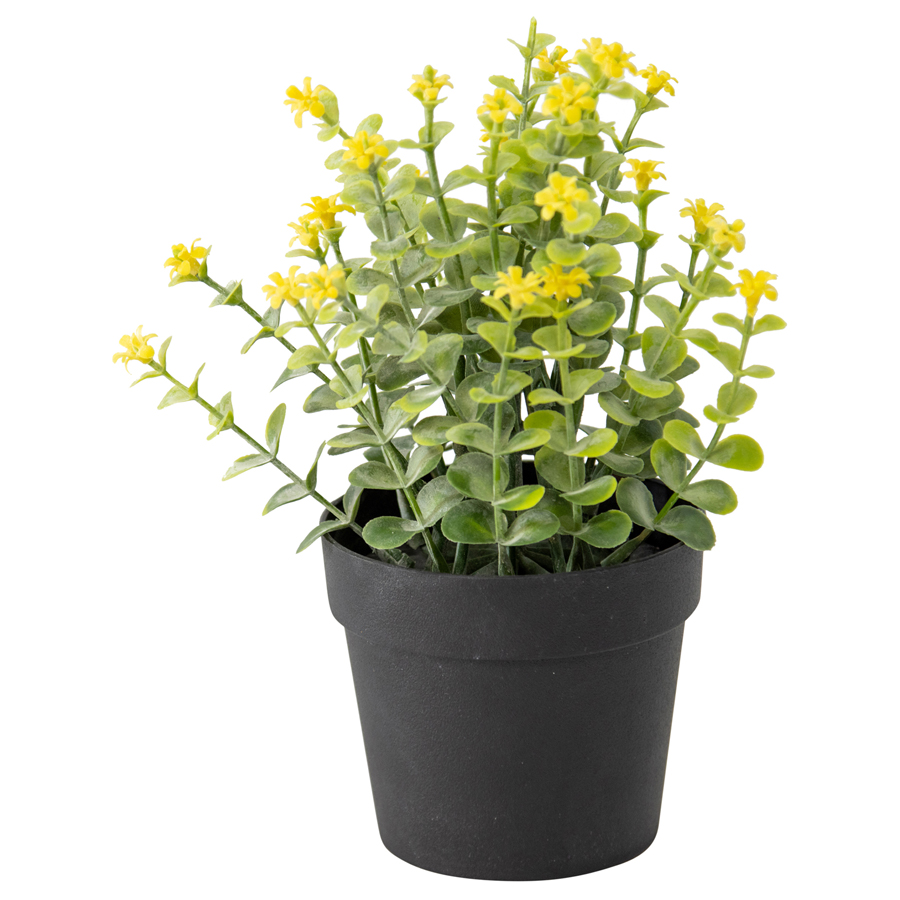Artificial Flowers & Plants