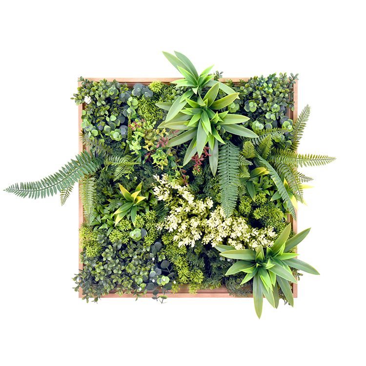 Artificial Wall Plants