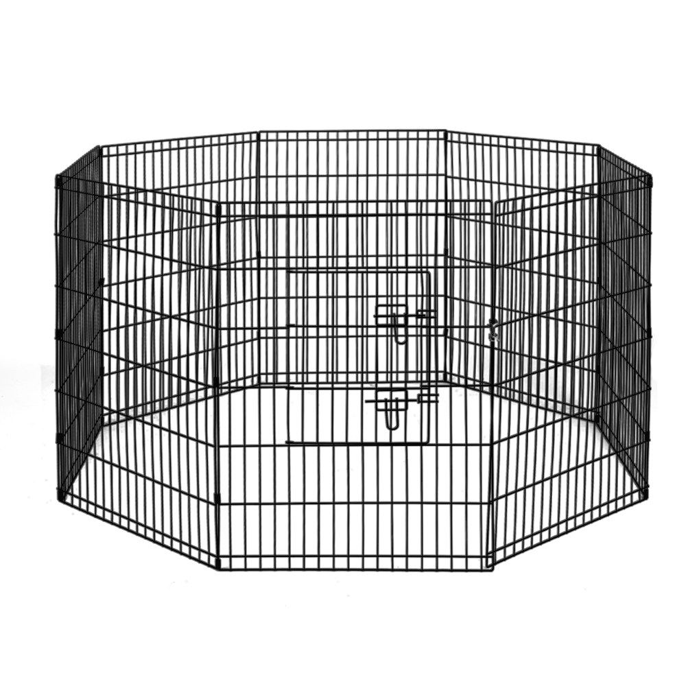 Dog Supplies