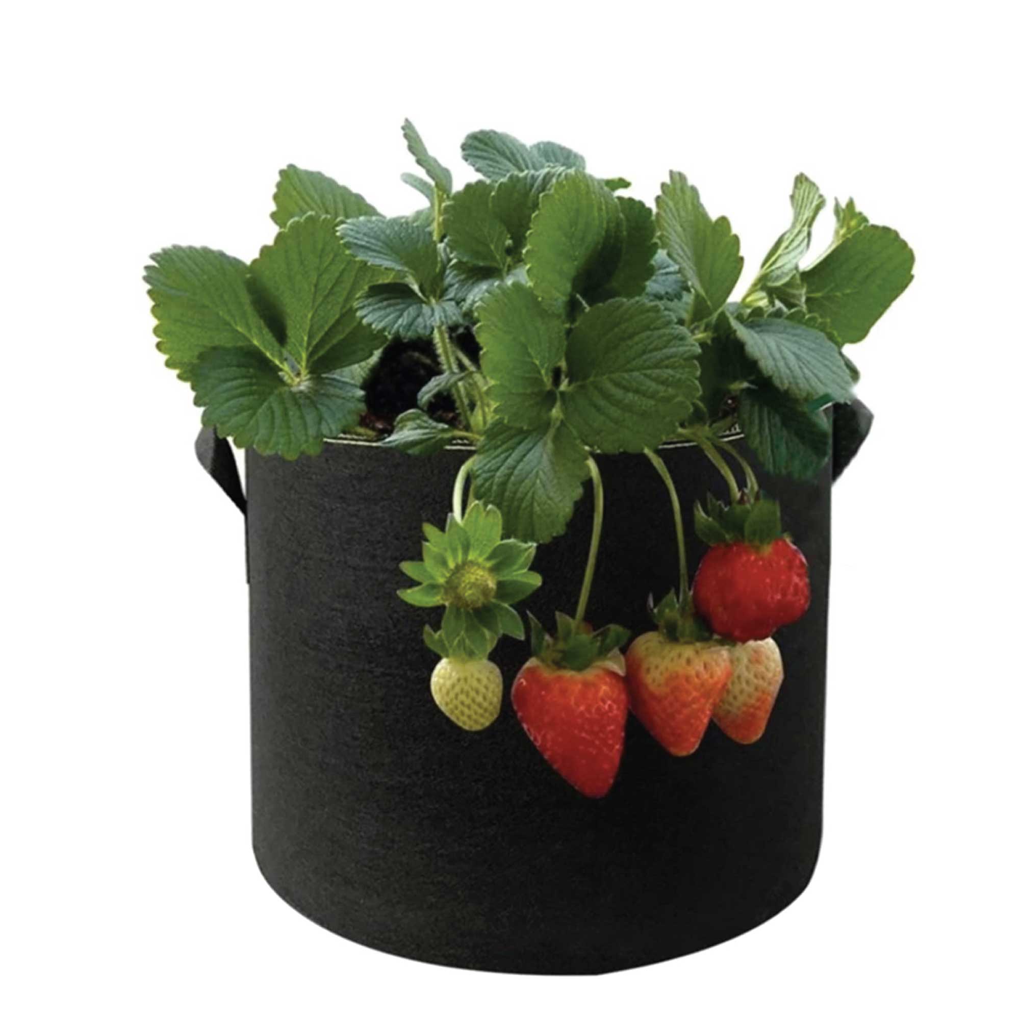 Pots